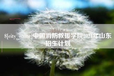新余中国消防救援学院2021年山东招生计划