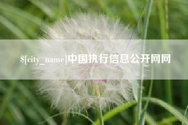 新余中国执行信息公开网网