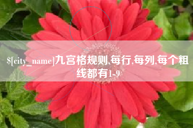新余九宫格规则,每行,每列,每个粗线都有1-9