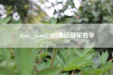 新余2024奥运冠军名字