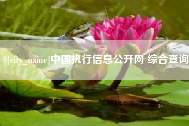 新余中国执行信息公开网 综合查询