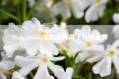 新余中国金牌得了几枚金牌