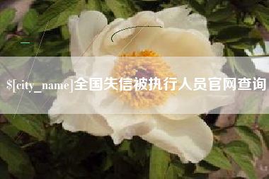 新余全国失信被执行人员官网查询