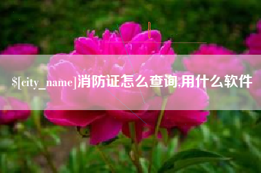 新余消防证怎么查询,用什么软件