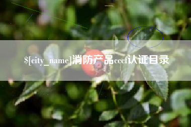 新余消防产品cccf认证目录