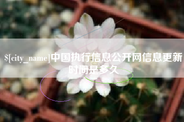 新余中国执行信息公开网信息更新时间是多久