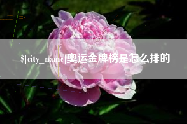 新余奥运金牌榜是怎么排的