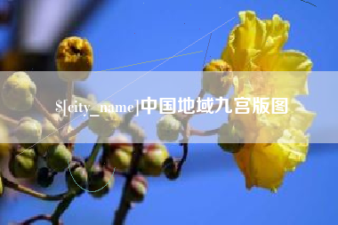 新余中国地域九宫版图