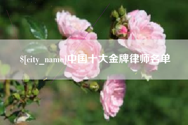 新余中国十大金牌律师名单
