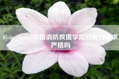 新余中国消防救援学院对视力要求严格吗