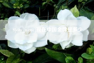 新余现在中国金牌是多少