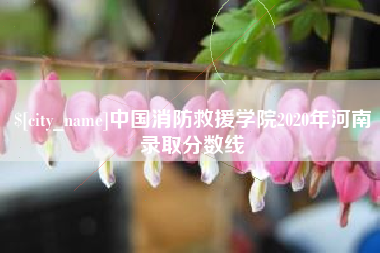 新余中国消防救援学院2020年河南录取分数线