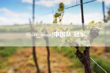 新余中国队 冠军