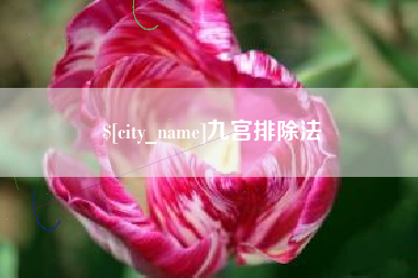 新余九宫排除法