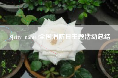 新余全国消防日主题活动总结