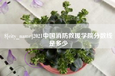 新余2021中国消防救援学院分数线是多少