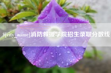 新余消防救援学院招生录取分数线