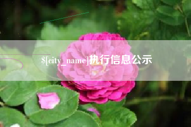 新余执行信息公示
