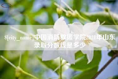 新余中国消防救援学院2021年山东录取分数线是多少