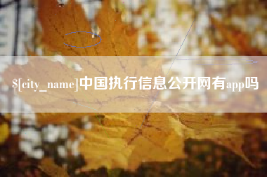 新余中国执行信息公开网有app吗