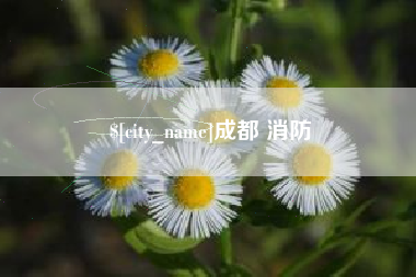 新余成都 消防