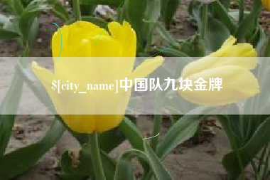 新余中国队九块金牌