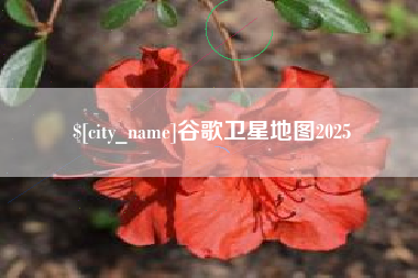 新余谷歌卫星地图2025