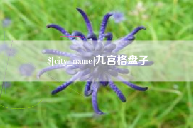 新余九宫格盘子