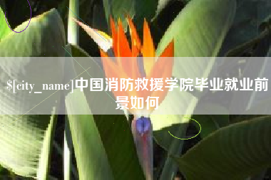 新余中国消防救援学院毕业就业前景如何