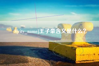 新余王子豪含义是什么？