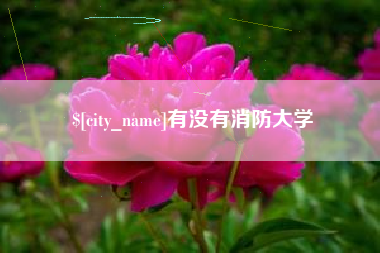 新余有没有消防大学