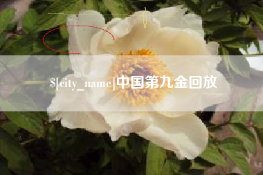 新余中国第九金回放
