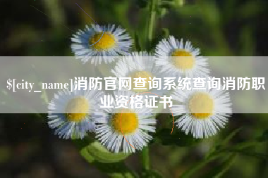 新余消防官网查询系统查询消防职业资格证书