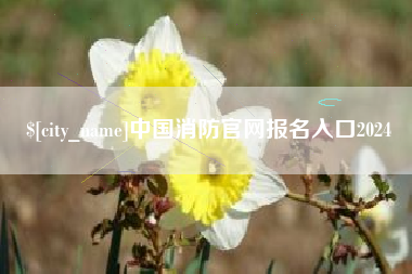 新余中国消防官网报名入口2024