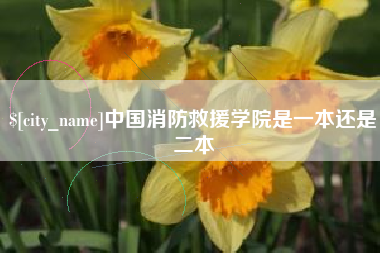 新余中国消防救援学院是一本还是二本