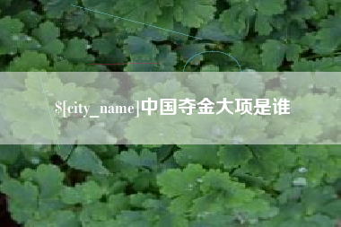 新余中国夺金大项是谁