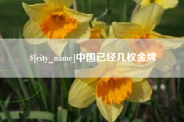 新余中国已经几枚金牌