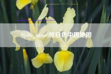 新余纯白色中国地图