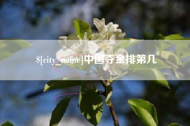 新余中国夺金排第几