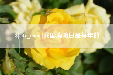 新余我国消防日是每年的
