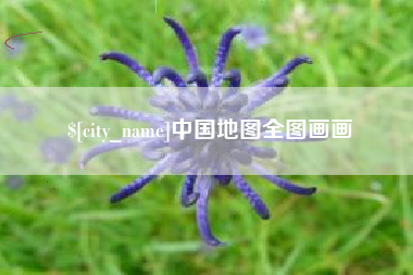 新余中国地图全图画画