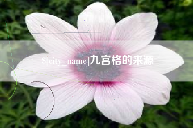 新余九宫格的来源