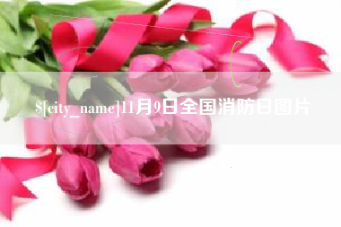 新余11月9日全国消防日图片