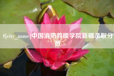 新余中国消防救援学院新疆录取分数