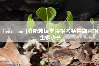 新余消防救援学院报考条件湖南招生多少分