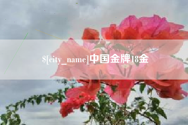新余中国金牌18金