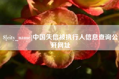 新余中国失信被执行人信息查询公开网址