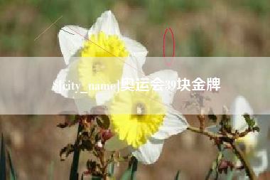 新余奥运会39块金牌