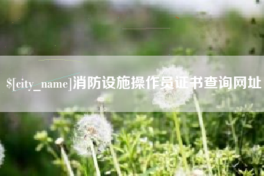 新余消防设施操作员证书查询网址