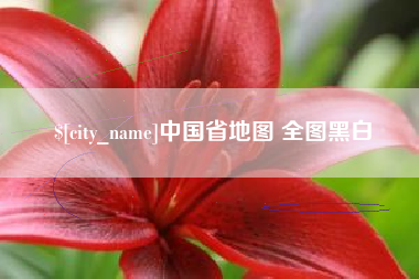 新余中国省地图 全图黑白